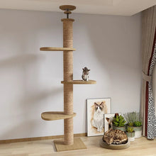 cat playing with its indoor scratch post