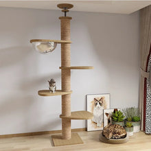 cat playing on its cat post