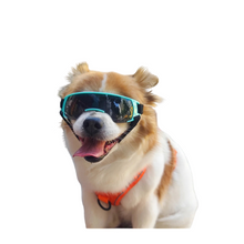 Retro Dog Sports Googles