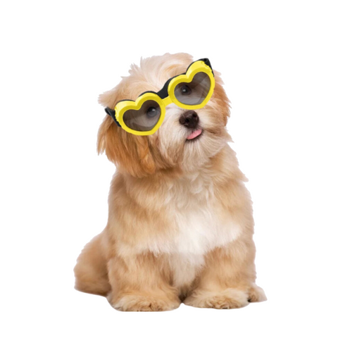 Heart Shaped Small Dog Sunglasses