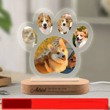 Custom Pet Memorial Night Light Photo