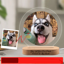 Custom Pet Memorial Night Light Photo