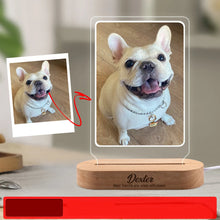 Custom Pet Memorial Night Light Photo