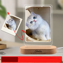 Custom Pet Memorial Night Light Photo