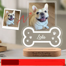 Custom Pet Memorial Night Light Photo