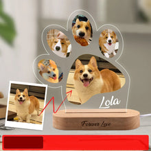 Custom Pet Memorial Night Light Photo