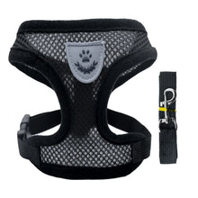 black mesh dog leash on a white background