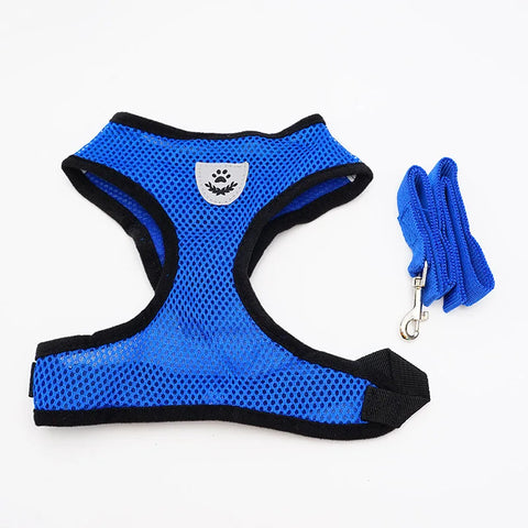 blue mesh dog leash on a white backgroud