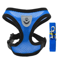 blue mesh dog with leash on a white background