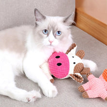 cat staring at the camera with its cow plush toy