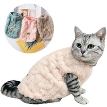 cat modelling cat sweater