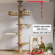 cat tower indoor with measurements