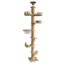 multi level cat tower with white background
