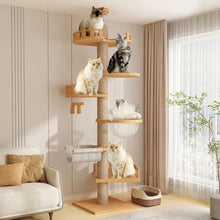 multiple cats staying on their indoor tower