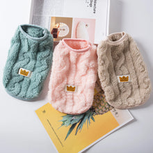 3 Coloured Cat Jacket