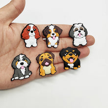 handing dog crocs charms on a white background