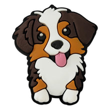 happy brown and white dog crocs jibbit on a white background