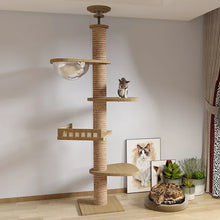cat sitting on the 3rd level of its scratch post