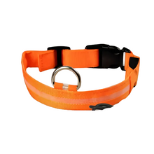Rechargeable Waterproof LED Dog Collar
