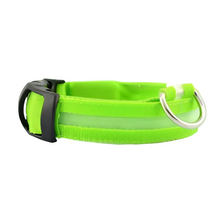 Rechargeable Waterproof LED Dog Collar