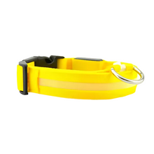 Rechargeable Waterproof LED Dog Collar