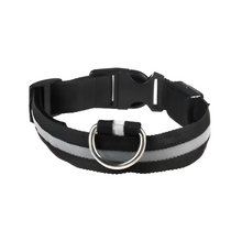 Rechargeable Waterproof LED Dog Collar
