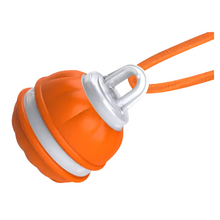 Peppy Pet Motion-Activated Rolling Ball