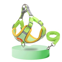 green dog harness on a white background