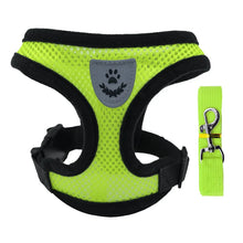 green mesh dog leash