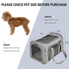 Airline Approved Pet Carrier