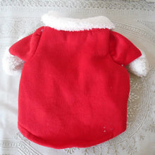 Winter Christmas Santa Outfit for Pets