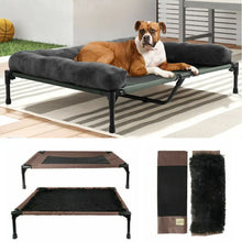 Cooling Elevated Dog Bed with Bolster