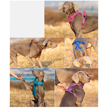 No Pull Front Nylon Dog Harness