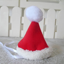 Winter Christmas Santa Outfit for Pets