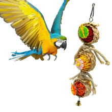 Parrot Shredder Toy