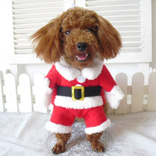 Winter Christmas Santa Outfit for Pets