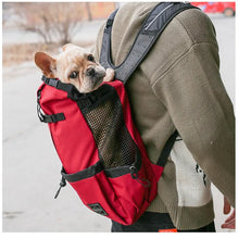 Outdoor Pet Carrier