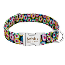 ID Tag Collars With Free Engraving for Small Pets