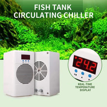 Mini Fish Tank Chiller and Heater