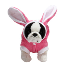 Bunny Hoodie Costume