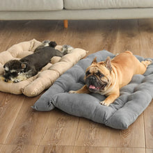 3 in 1 Multifunction Dog Bed