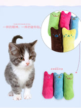 Catnip Plush Toy with Chew and Grind Features