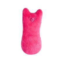 Catnip Plush Toy with Chew and Grind Features