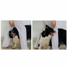 Stretchable Design Pet Training Clicker
