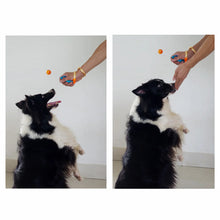 Stretchable Design Pet Training Clicker