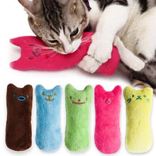 Catnip Plush Toy with Chew and Grind Features