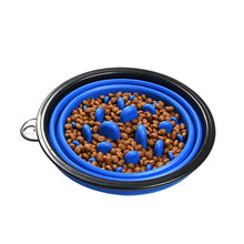 1L Travel Food Bowl Water Container