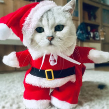 Winter Christmas Santa Outfit for Pets