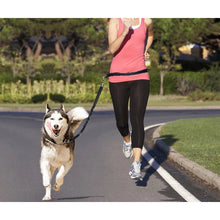 Hands Free Dog Leash