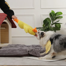 Duck-Shaped Chew Toy for Pets